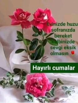 termal havlu çorap
